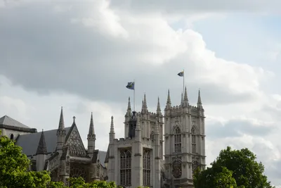 DSC_2821 (Large).JPG